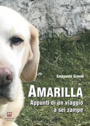 Amarilla. Appunti di un viaggio a sei zampe - Emanuele Grandi