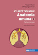 Anatomia umana. Atlante tascabile. Vol. 2: Splancnologia