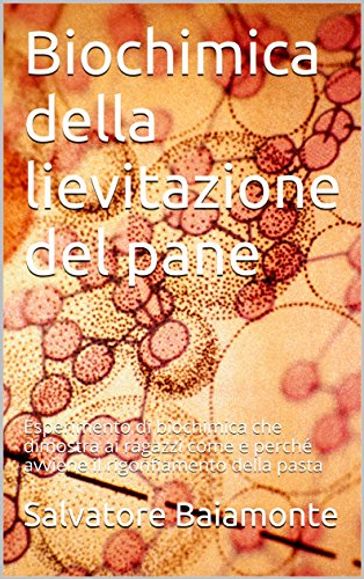 BIOCHIMICA DELLA LIEVITAZIONE DEL PANE - Salvatore Baiamonte