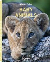 Baby Animals