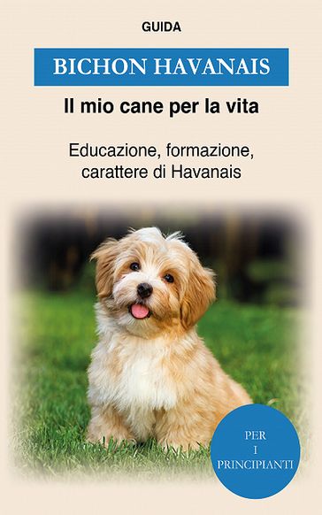 Bichon Havanais - Guida Il mio cane per la vita