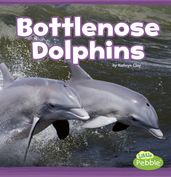 Bottlenose Dolphins