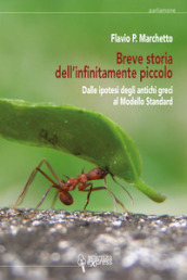 Breve storia dell infinitamente piccolo. Vol. 1: Dalle ipotesi degli antichi greci al modello standard