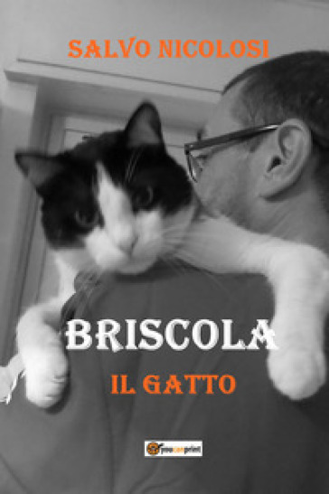 Briscola il gatto - NICOLOSI SALVO