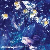 Brownswood electr*c3