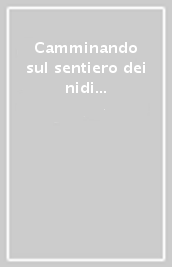 Camminando sul sentiero dei nidi di ragno. Antologia dedicata alla poetica di Italo Calvino