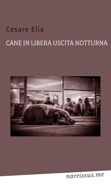 Cane in libera uscita notturna - Cesare Elia