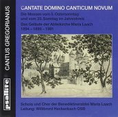 Cantate domino canticum..