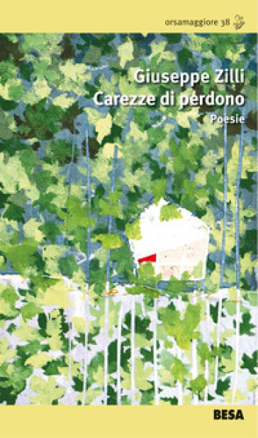 Carezze di perdono - Giuseppe Zilli