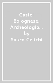 Castel Bolognese. Archeologia di un centro di nuova fondazione