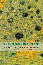 Chameleon Nachtroer