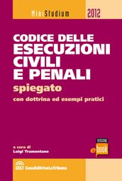 Codice delle esecuzioni civili e penali spiegato