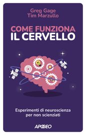 Come funziona il cervello