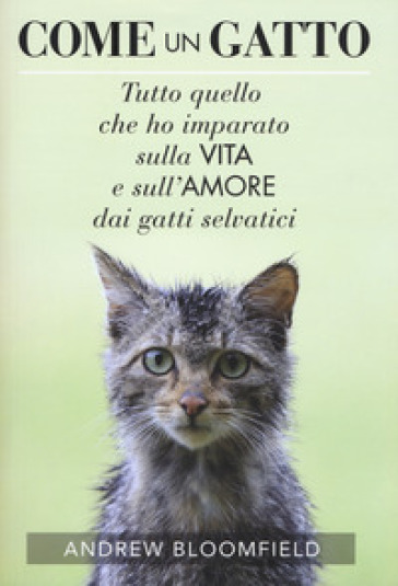 Come un gatto. Tutto quello che ho imparato sulla vita e sull'amore dai gatti selvatici - Andrew Bloomfield