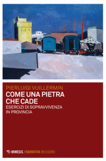 Come una pietra che cade. Esercizi di sopravvivenza in provincia - Pierluigi Vuillermin