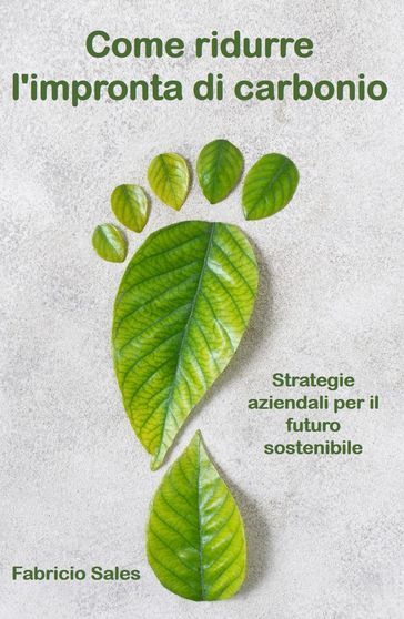 Come ridurre l'impronta di carbonio - Fabricio Silva