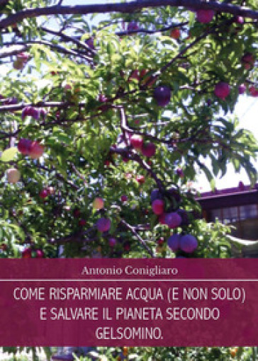 Come risparmiare acqua (e non solo) e salvare il pianeta secondo Gelsomino - Antonio Conigliaro