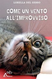 Come un vento all improvviso