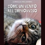 Come un vento all improvviso