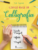 Corso base di calligrafia in 24 lezioni. Ediz. illustrata