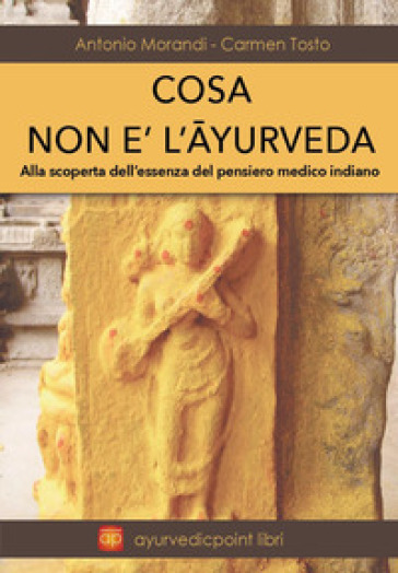 Cosa non è l'Ayurveda. Alla scoperta dell'essenza del pensiero medico indiano - Antonio Morandi - Carmen Tosto