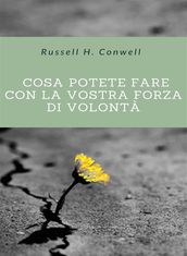 Cosa potete fare con la vostra forza di volontà (tradotto)