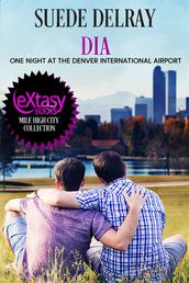 DIA - One Night at the Denver International Airport