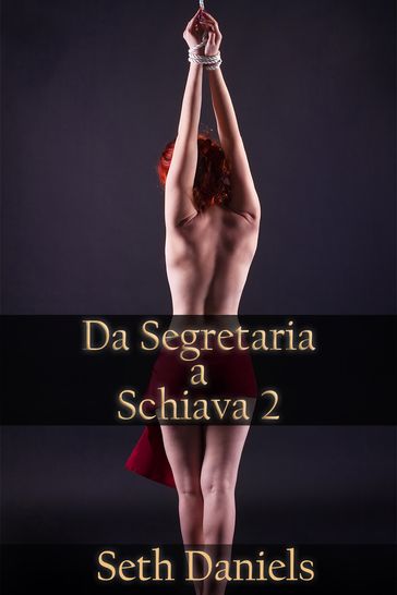 Da Segretaria a Schiava 2 - Seth Daniels