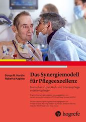 Das Synergiemodell fur Pflegeexzellenz