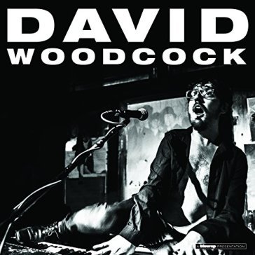 David woodcock - DAVID WOODCOCK