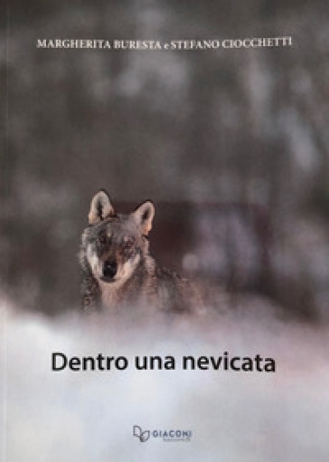 Dentro una nevicata. Ediz. illustrata - Margherita Buresta - Stefano Ciocchetti