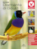 Diamante di gould