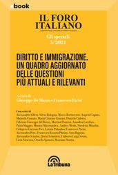 Diritto e immigrazione. Un quadro aggiornato delle questioni più attuali e rilevanti