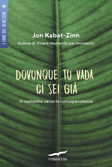 Dovunque tu vada, ci sei già - Jon Kabat-Zinn