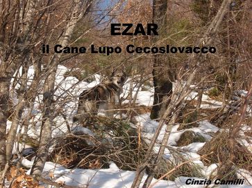 EZAR il Cane Lupo Cecoslovacco - Cinzia Camilli