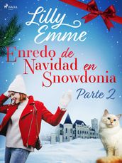 Enredo de Navidad en Snowdonia Parte 2