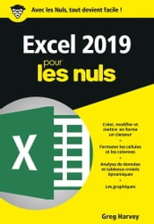 Excel 2019 pour les Nuls, poche