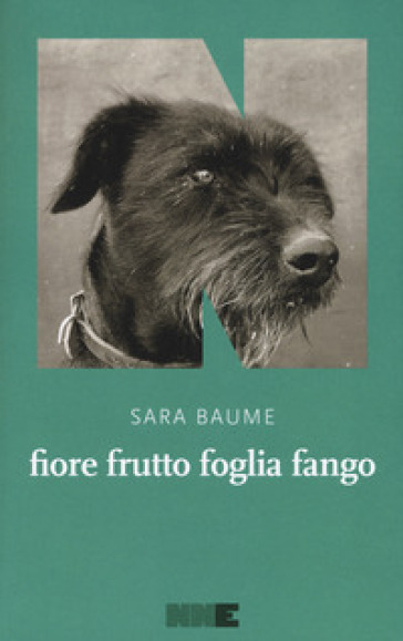 Fiore frutto foglia fango - Sara Baume