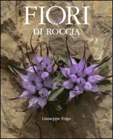 Fiori di roccia - Giuseppe Frigo