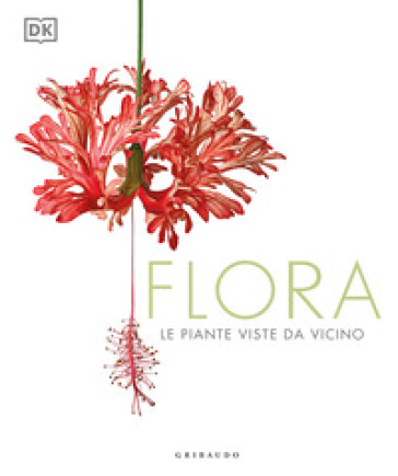 Flora. Le piante viste da vicino - Giovanni Santi-Mazzini