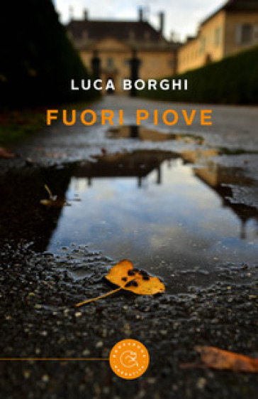 Fuori piove - Luca Borghi