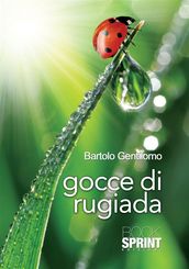 Gocce di rugiada