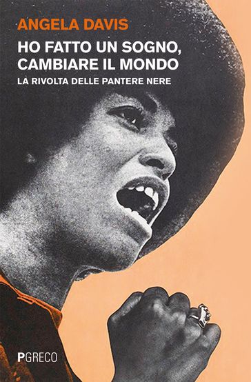 Ho fatto un sogno, cambiare il mondo - Angela Davis