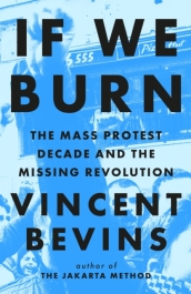 If We Burn: The Mass Protest Decade and the Missing Revolution