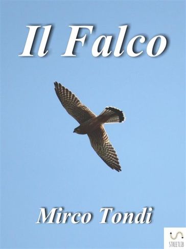 Il Falco - Mirco Tondi