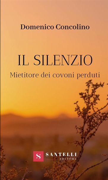 Il Silenzio - Domenico Concolino