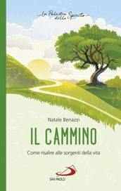 Il cammino