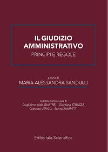 Il giudizio amministrativo