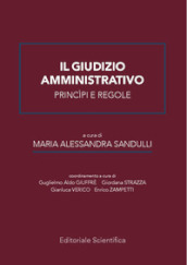 Il giudizio amministrativo