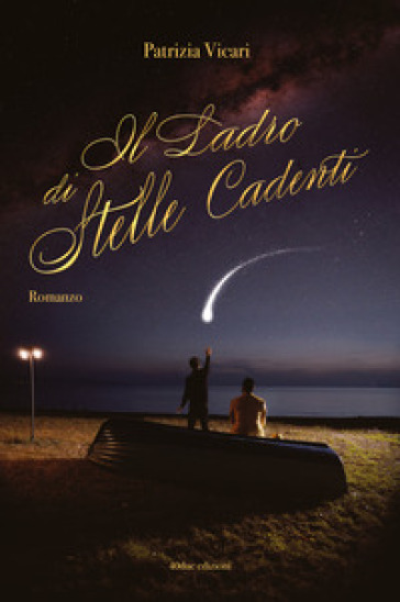 Il ladro di stelle cadenti - Patrizia Vicari